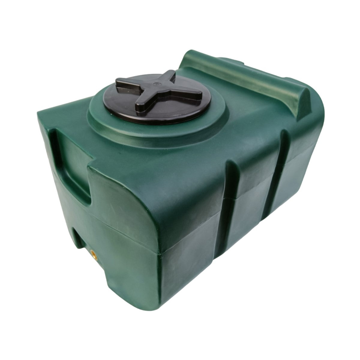 Serbatoio acqua potabile 100L